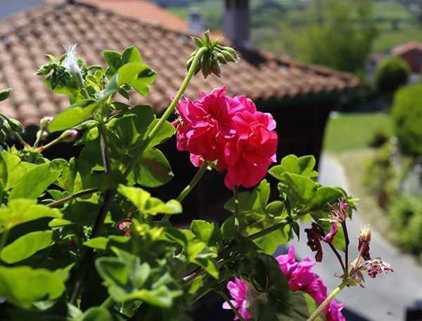 Casa Rural La Tayuela Luanco Luaran gambar